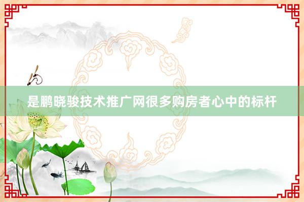 是鹏晓骏技术推广网很多购房者心中的标杆