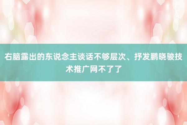 右脑露出的东说念主谈话不够层次、抒发鹏晓骏技术推广网不了了