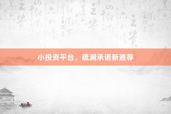 小投资平台，疏漏承诺新遴荐