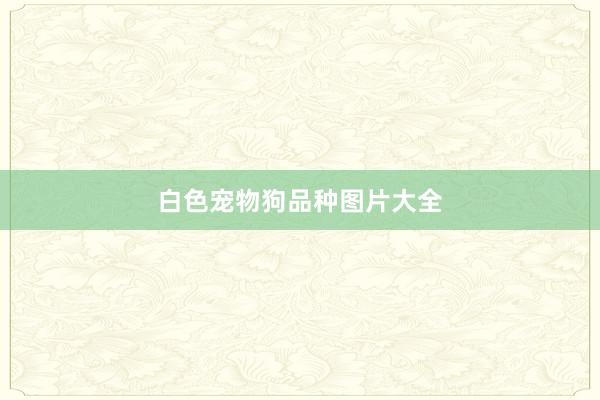 白色宠物狗品种图片大全