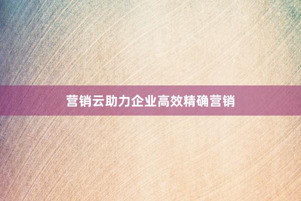 营销云助力企业高效精确营销